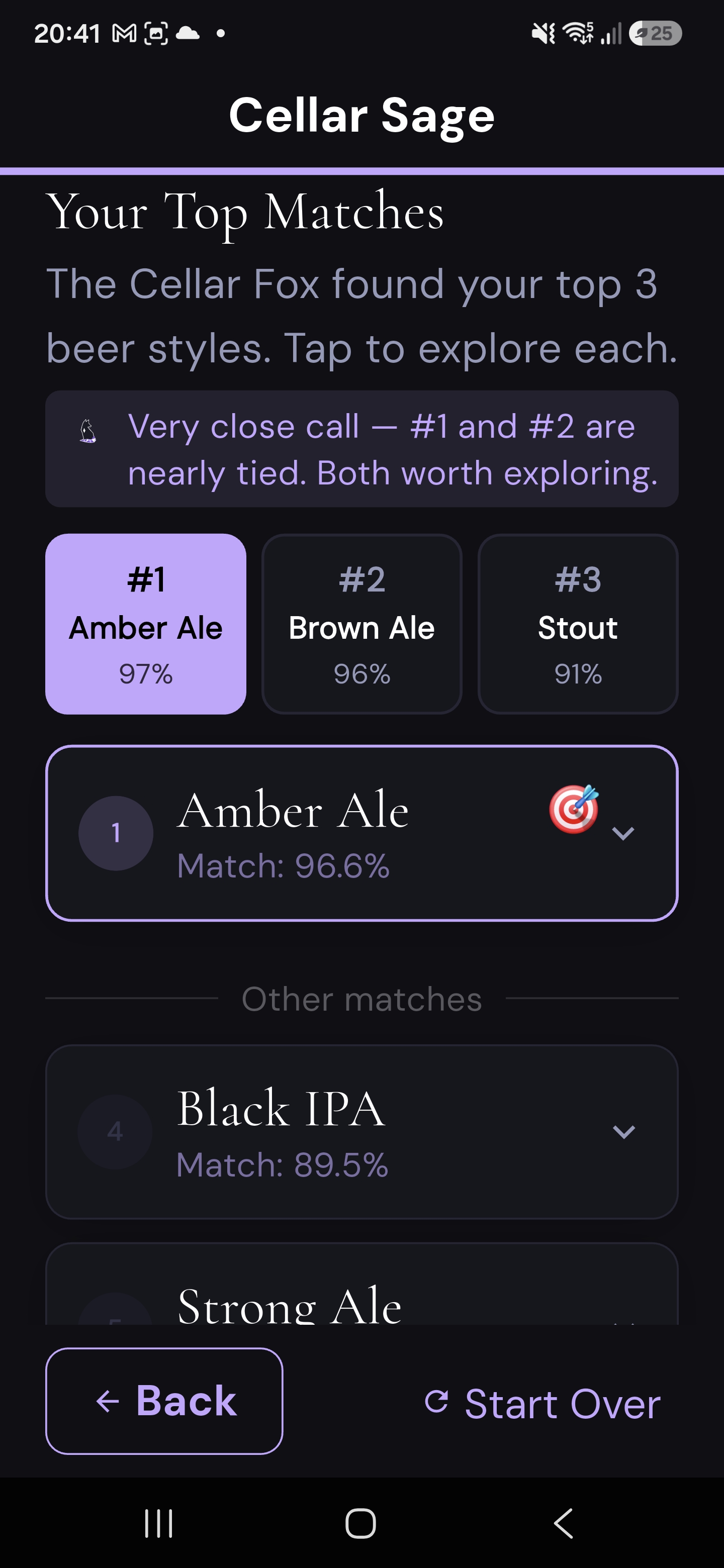 Top beer style matches